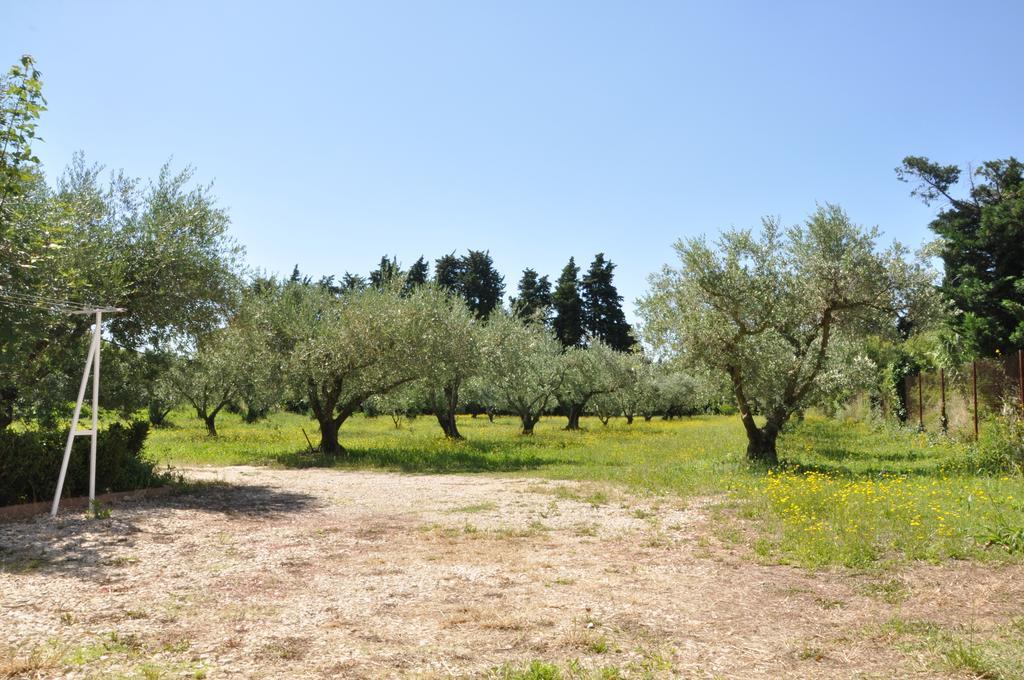 Gîte Du Mas Des Oliviers Mézoargues Extérieur photo